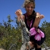 iguana_cuban_jar_v_1820_cub3764_rv.jpg